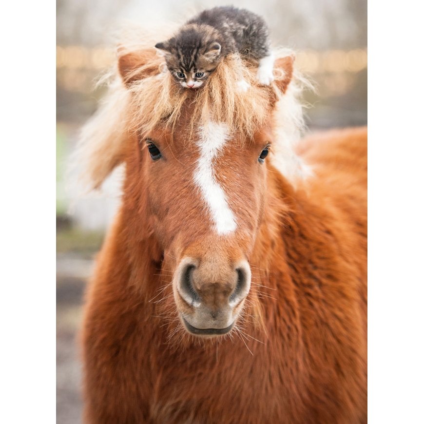 Ravensburger puzzle 500 pcs: pony and cat – 2