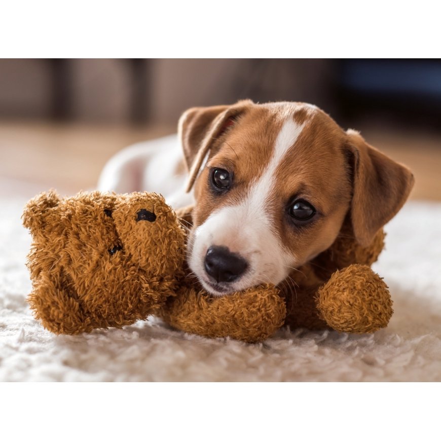 Ravensburger puzzle 500 pcs: cute puppy – 2