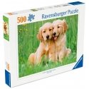 Ravensburger puzzle 500 pcs: golden retrievers Ravensburger puzzle 500 pcs: golden retrievers