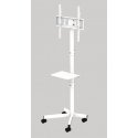 Gembird TV floor stand with caster wheels, 32" - 55" Gembird TV floor stand with caster wheels, 32" - 55"