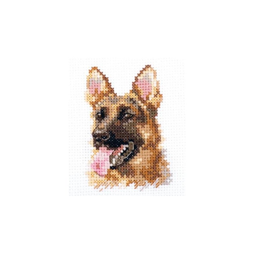 Alisa Beldizart Animal Portraits. Pi Pastorius. S0-209