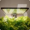 Spacetronik Plant Pot with LCD Display SPGC20WL Spacetronik Plant Pot with LCD Display SPGC20WL