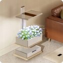 Spacetronik Plant Pot with LCD Display SPGC20WL Spacetronik Plant Pot with LCD Display SPGC20WL
