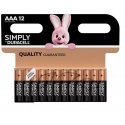 DURACELL Simply AAA baterijos, 12 vnt. DURACELL Simply AAA baterijos, 12 vnt.