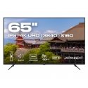 JAPANNEXT JN-IPS650UHD60F монитор для ПК 165,1 cm (65") 3840 x 2160 пикселей 4K Ultra HD ЖК Черный
