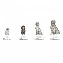 EDEN 80/20 Fish Cuisine Medium & Large - dry dog food - 12kg EDEN 80/20 Fish Cuisine Medium & Large - dry dog food - 12kg