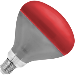 Rebel R125 infraraudonųjų spindulių lempa, 100 W, 220–240 V