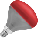 Rebel R125 infrapuna lambi, 100 W, 220–240 V