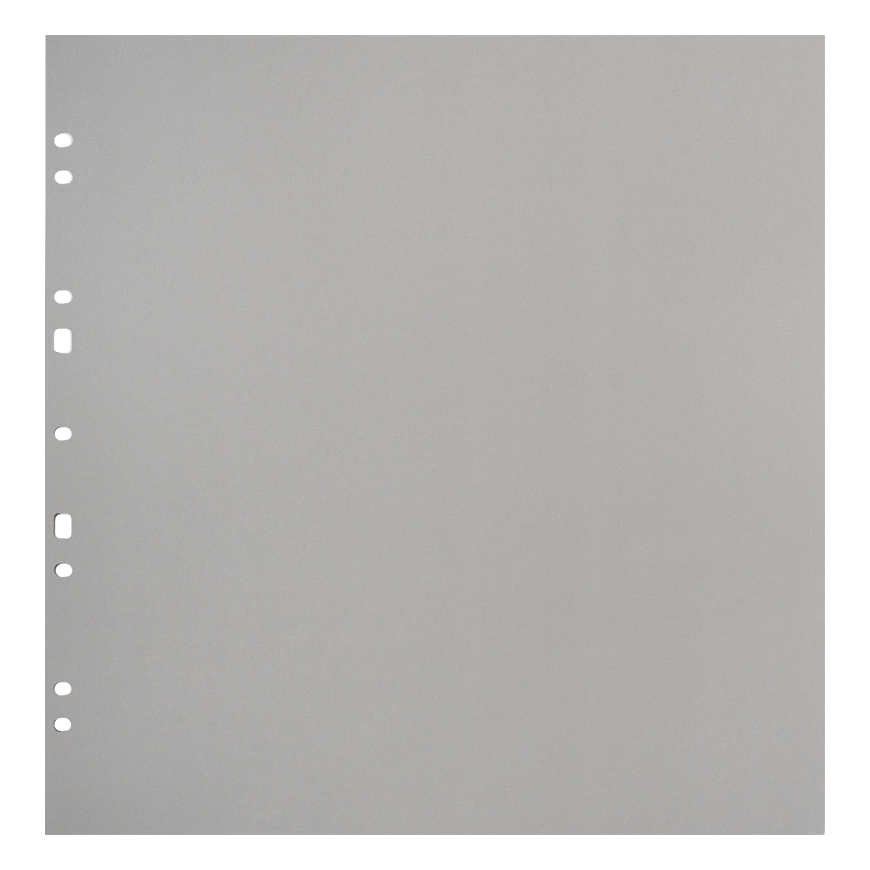 Focus Carton Pradiniai Lapai Ringbinder Gigant Balti 10 vnt.