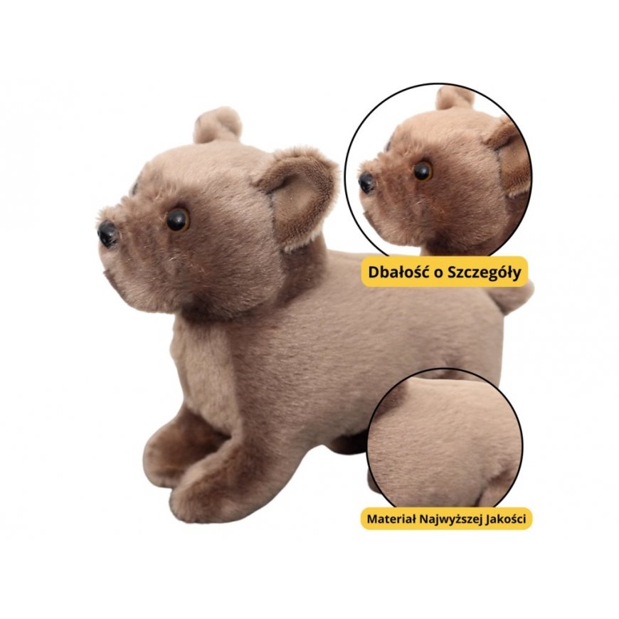 Lean Toys Soft Plush Puppy 19 cm – 2