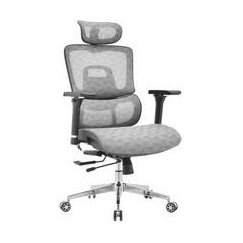 Spacetronik Adjustable Desk Chair Swivel 4D MIRA Gray