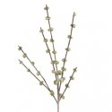 Eurofirany KW/FLORE/805/FIO FIOL Eurofirany KW/FLORE/805/FIO FIOL