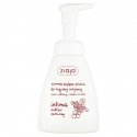 Ziaja intiimpesugevahtu mahlane nektar intiimkosmeetika naistele, 250 ml Ziaja intiimpesugevahtu mahlane nektar intiimkosmeetika naistele, 250 ml