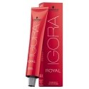 Schwarzkopf Professional Igora Zero Amm juuksevärv 60ml - 6-99 | Tume Blond Lilakate Tooni Ekstra Schwarzkopf Professional Igora Zero Amm juuksevärv 60ml - 6-99 | Tume Blond Lilakate Tooni Ekstra