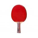 Parim sportlik TRENNITREENING PARIM SPORTLIK LAUD TENNIS PADDLES Parim sportlik TRENNITREENING PARIM SPORTLIK LAUD TENNIS PADDLES