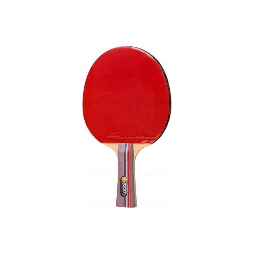 Best Sporting TRAINING BEST SPORTS TABLE TENNIS RACKET – 2