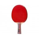 Best Sporting TRAINING BEST SPORTS TABLE TENNIS RACKET Best Sporting TRAINING BEST SPORTS TABLE TENNIS RACKET