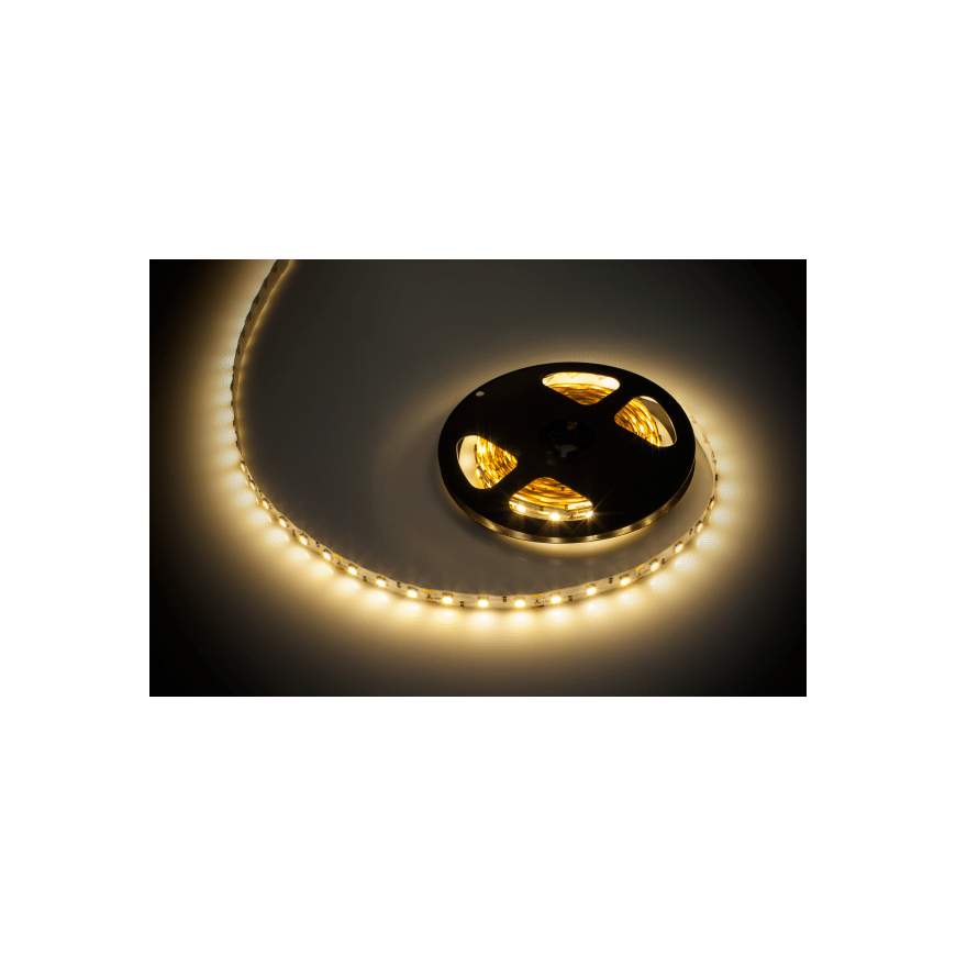 Rebel LED lint 5m (300x5050 SMD) soe valge – 2