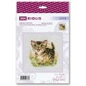 Riolis Cross Stitch Kit Bengal Tiger 15x15 SR2119 Riolis Cross Stitch Kit Bengal Tiger 15x15 SR2119