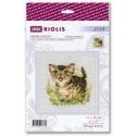 Riolis ristipistokittien sarja Bengalin kissa 15x15 SR2119 Riolis ristipistokittien sarja Bengalin kissa 15x15 SR2119