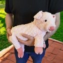 Day Pig Mama with 3 Piglets Day Pig Mama with 3 Piglets