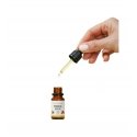 Alma Secret Botanical Rescue Hiustyynyvoide, 10 ml Alma Secret Botanical Rescue Hiustyynyvoide, 10 ml