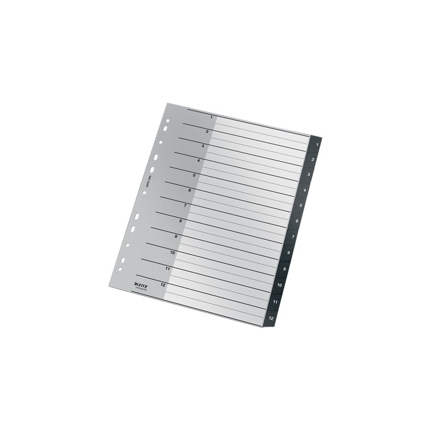Leitz Recycle Index, PP, extra wide – 2
