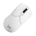 Pelē DELUX M800 Mini balta 12000DPI 1000 Hz Pelē DELUX M800 Mini balta 12000DPI 1000 Hz