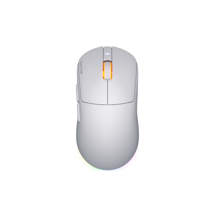 Pelē DELUX M800 Mini balta 12000DPI 1000 Hz – 2