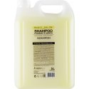 Stapiz Basic Salon, 1000 ml Stapiz Basic Salon, 1000 ml