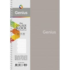Genius Sąsiuvinis Schoolboy, B5, 80 lapų, 70 gsm, langeliais