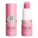 Roger & Gallet ROSE sublimeriv huulepalsam 3,5 g Roger & Gallet ROSE sublimeriv huulepalsam 3,5 g
