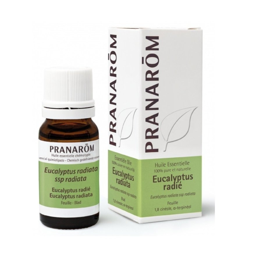Pranarom ESSENTIAL OIL eucalyptus radiata 10 ml