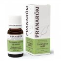 Pranarom ETUUSÖLJY eukalyptus radiata 10 ml Pranarom ETUUSÖLJY eukalyptus radiata 10 ml