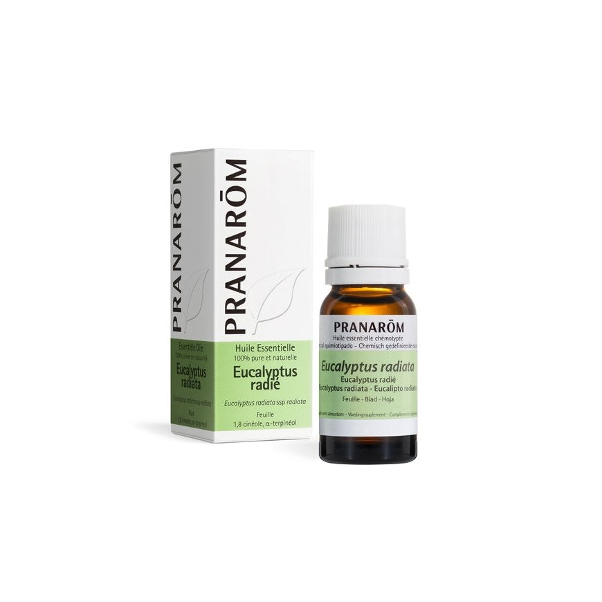 Pranarom ēteriskā eļļa eikalipts radiata 10 ml – 2