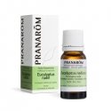 Pranarom ēteriskā eļļa eikalipts radiata 10 ml Pranarom ēteriskā eļļa eikalipts radiata 10 ml