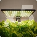 Spacetronik Plant Pot with LCD Display SPGC20AV Spacetronik Plant Pot with LCD Display SPGC20AV