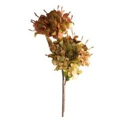 Eurofirany KW/FLORE/776/ZIE ZIEL+BR