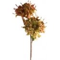 Eurofirany KW/FLORE/776/ZIE ZIEL+BR Eurofirany KW/FLORE/776/ZIE ZIEL+BR