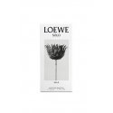 LOEWE Perfumes Solo Ella 50 ml Naised LOEWE Perfumes Solo Ella 50 ml Naised