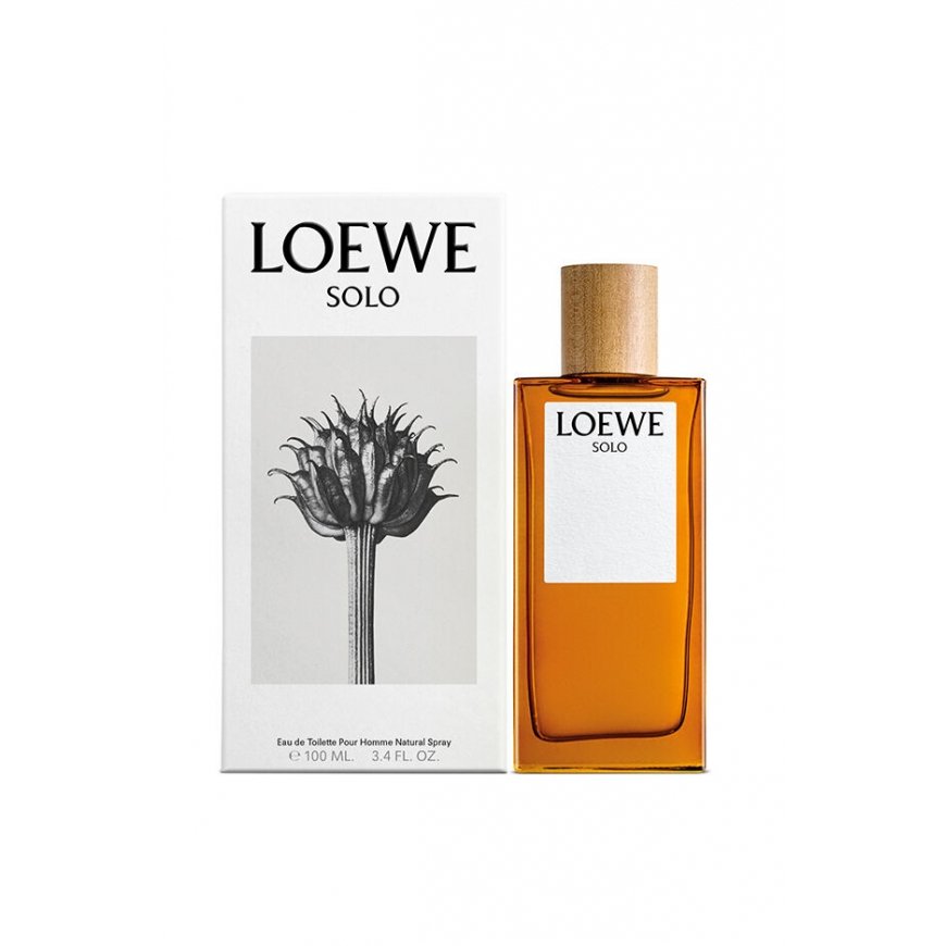 LOEWE Perfumes Solo 100 ml Vyrams – 2