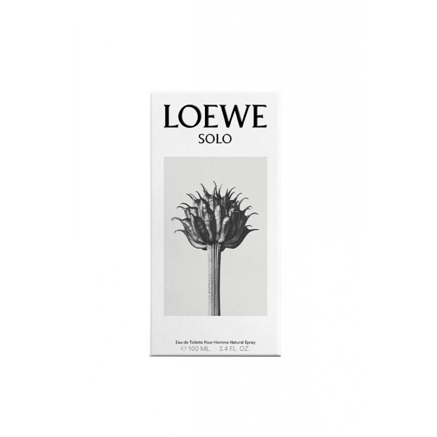 LOEWE Perfumes Solo 100 ml Vyrams – 3