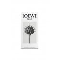 LOEWE Perfumes Solo 100 ml Vīrieši LOEWE Perfumes Solo 100 ml Vīrieši