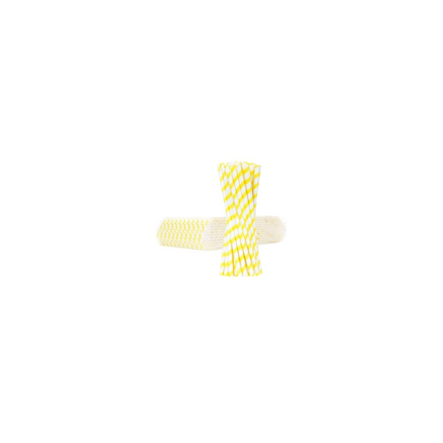 Gsg24 BIO biodegradable paper straws PAPER STRAWS 6/205mm - white 250pcs. – 2