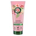 Herbal Essences Rosa Conditioner hoitoaine, 250 ml Herbal Essences Rosa Conditioner hoitoaine, 250 ml
