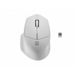 NATEC Siskin 2 kompiuterio pelė Biuras Dešinės rankos „Bluetooth“ Optinis 1600 DPI