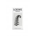 LOEWE Perfumes Esencia 100 ml Vyrams LOEWE Perfumes Esencia 100 ml Vyrams