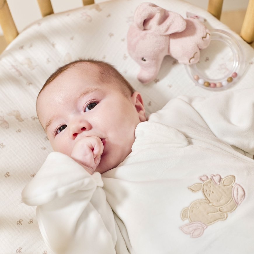NATTOU Fanfan rattle elephant – 4
