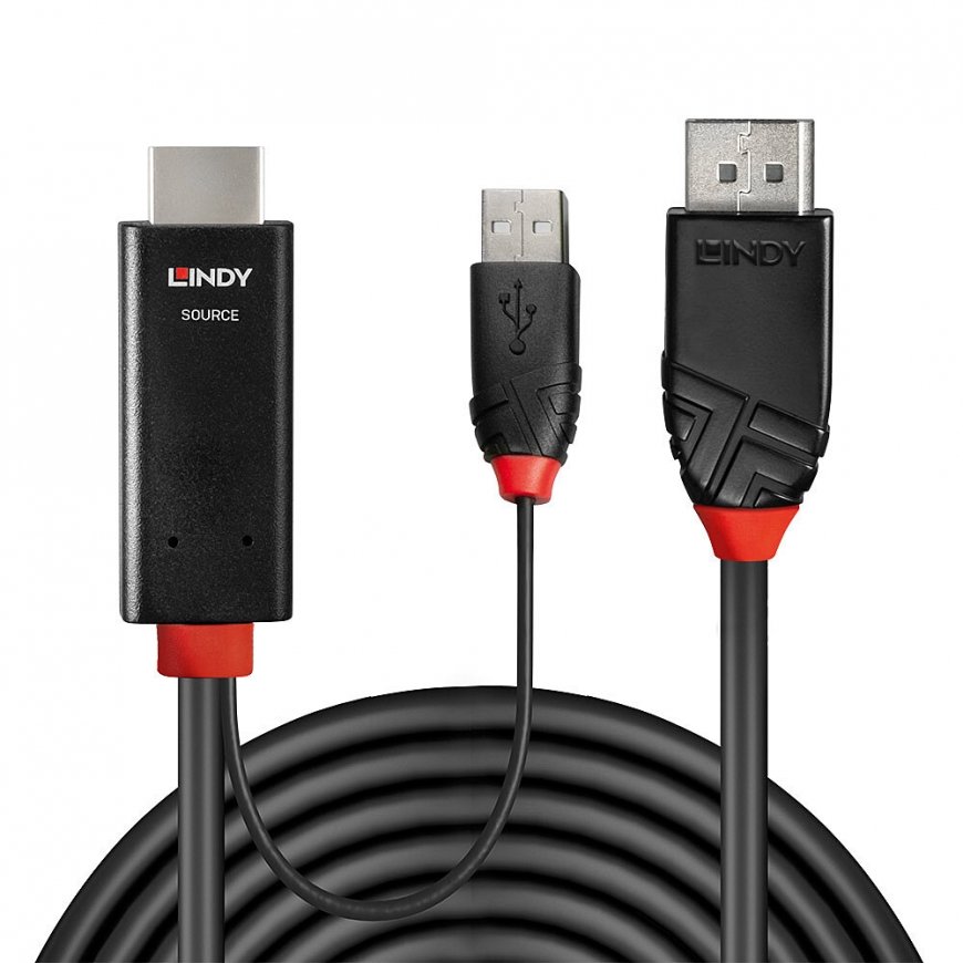 Lindy 41499 видео кабель адаптер 2 m HDMI + USB Type-A DisplayPort Черный – 2