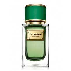 Dolce&Gabbana Velvet Cypress 150 ml Naised